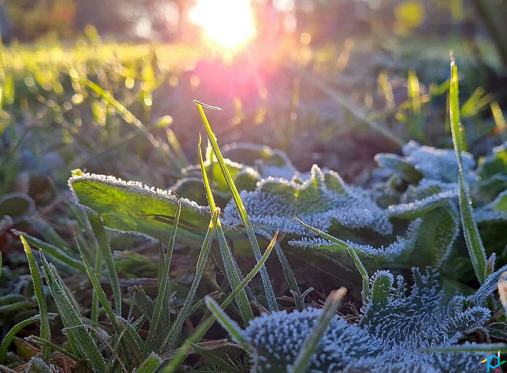 Geada e muito frio Paraná tem menores temperaturas do ano e massa de