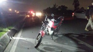 Égua prenha é sacrificada após acidente com moto na BR 277, em São José dos Pinhais