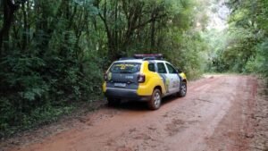 Macabro: Moradores de chácara encontram corpo em Campo Magro
