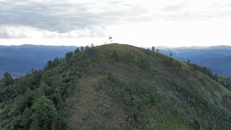 IMG-20250713-WA0018(1)