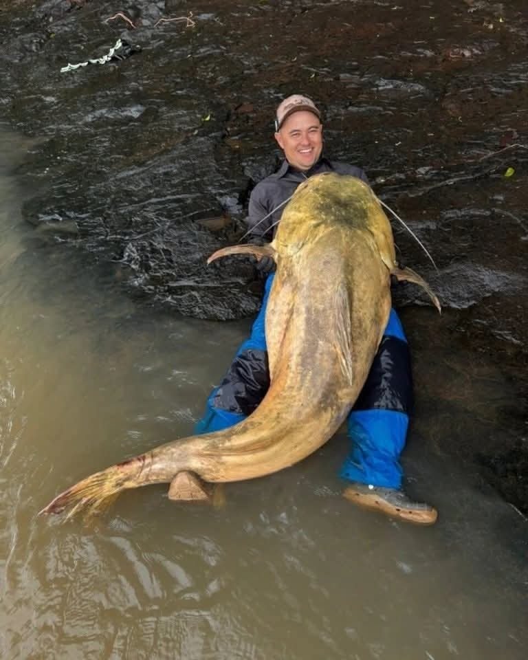 PESCADOR CAPTURA PEIXE DE 100 KG NO RIO IVAÍ E PODE BATER RECORDE BRASILEIRO.