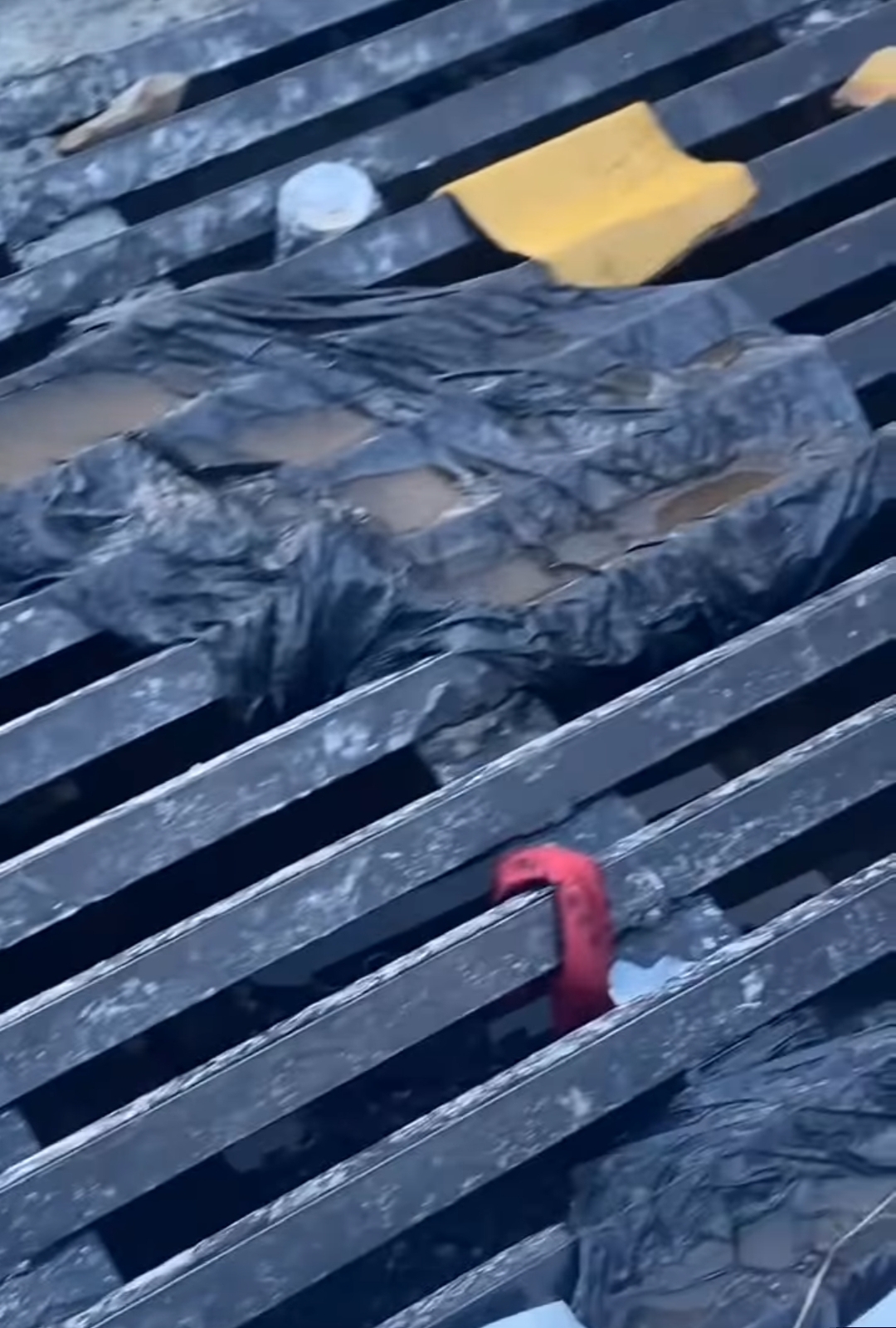 CHUVAS E ALAGAMENTOS EM RIO BRANCO DO SUL EXPÕEM DESCARTE IRREGULAR DE LIXO