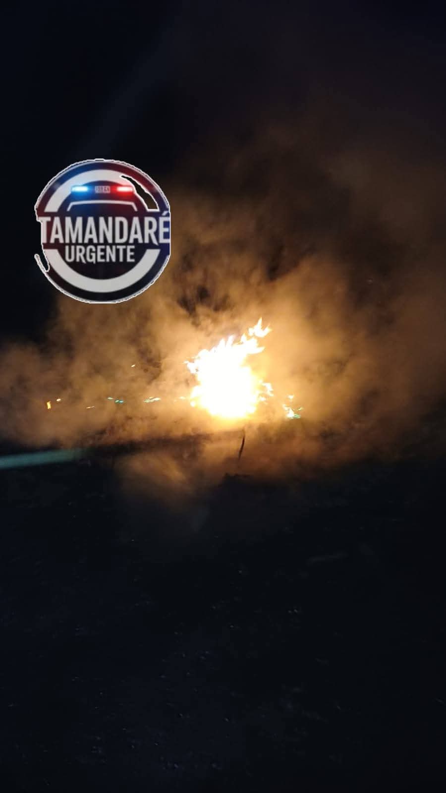 PATRULHA RURAL FLAGRA CRIME AMBIENTAL E PRENDE TRÊS SUSPEITOS EM ÁREA DE MATA, EM ALMIRANTE TAMANDARÉ