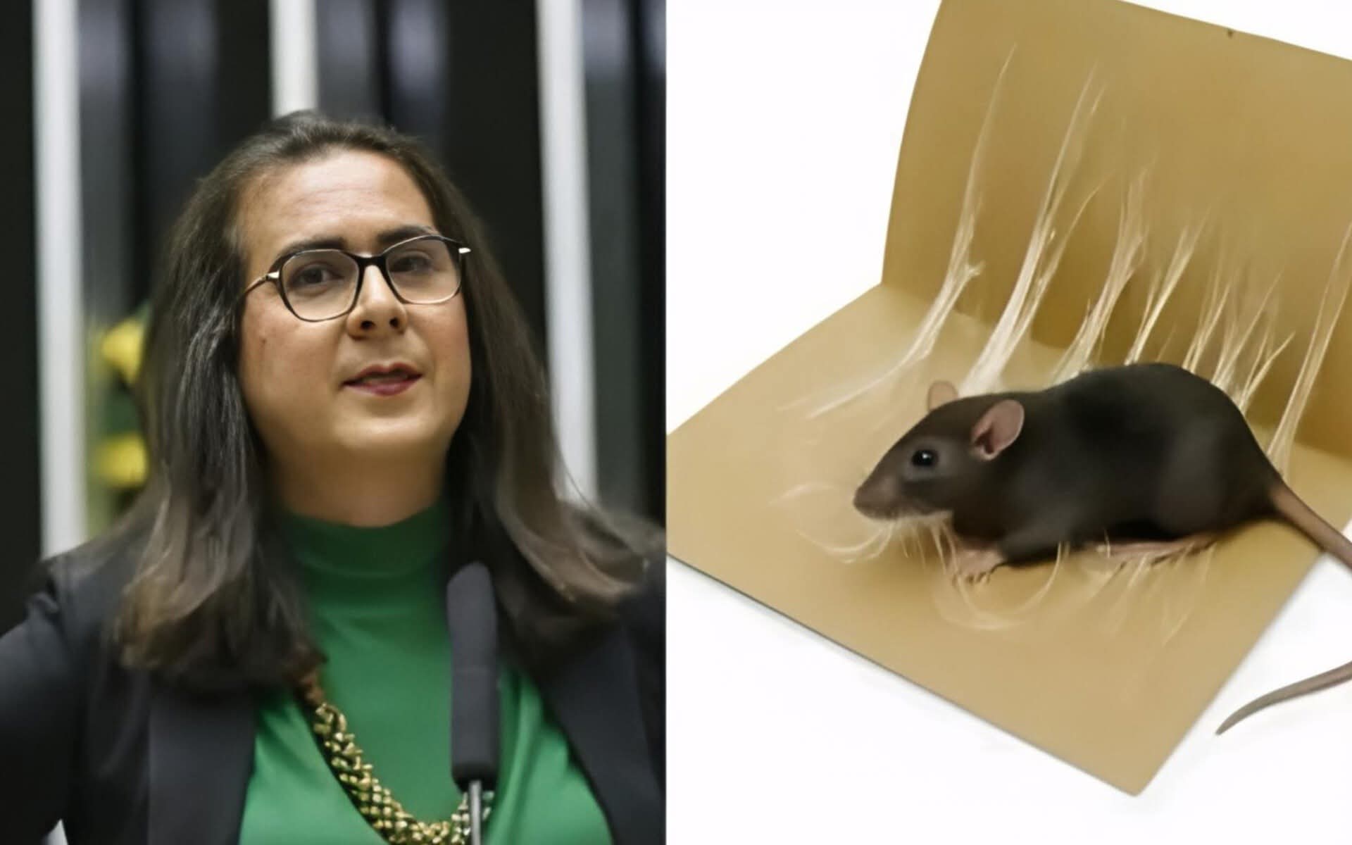 DEPUTADA APRESENTA PROJETO PARA PROIBIR USO DE ARMADILHAS “COLA RATO” EM TODO O BRASIL.