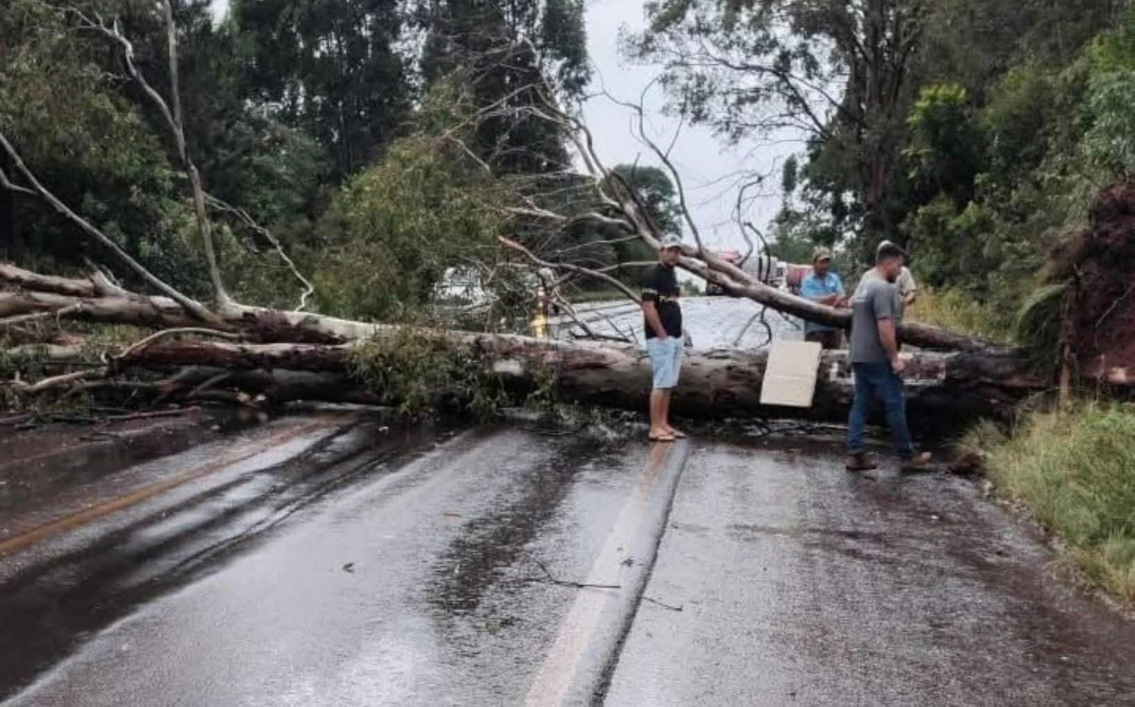 TEMPORAL DESTRUIDOR ATINGE O SUL E PROVOCA CAOS EM RODOVIAS COM CAMINHÃO TOMBADO E BLOQUEIOS.