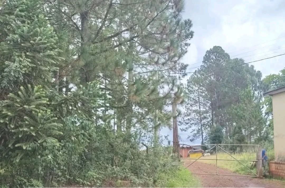 BEBÊ RECÉM-NASCIDO É ENCONTRADO MORTO DENTRO DE SACOLAS NO PARANÁ.