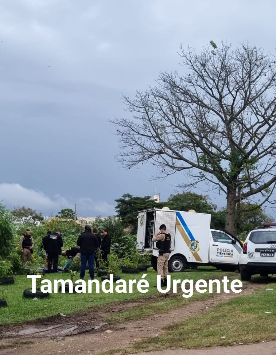 CAMINHÃO CAI EM RIBANCEIRA APÓS MOTORISTA PASSAR MAL EM CAMPO MAGRO