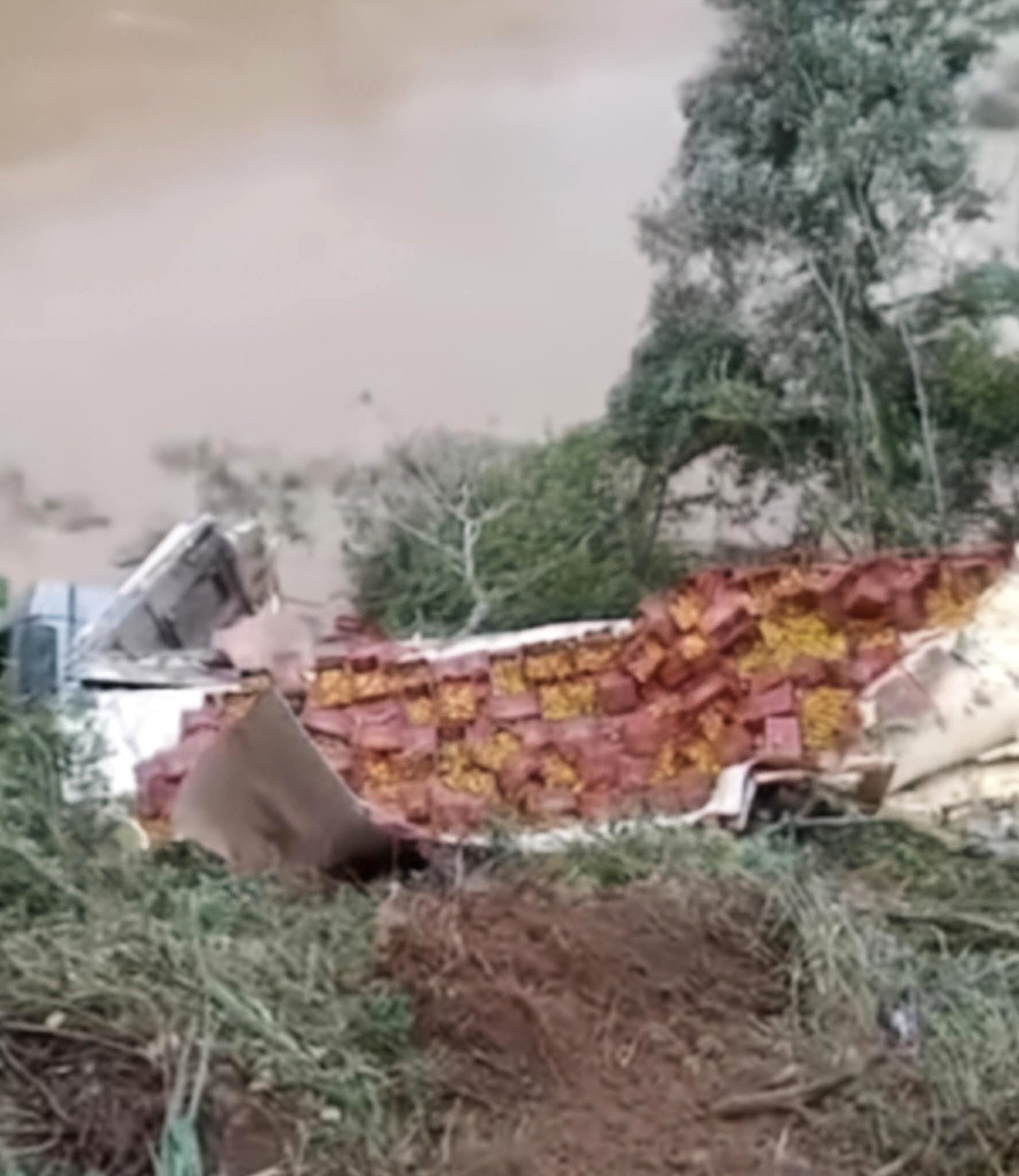 MAIS UM CAMINHÃO CARREGADO DE PONKAN TOMBA E CAI NO RIO RIBEIRA EM CERRO AZUL.