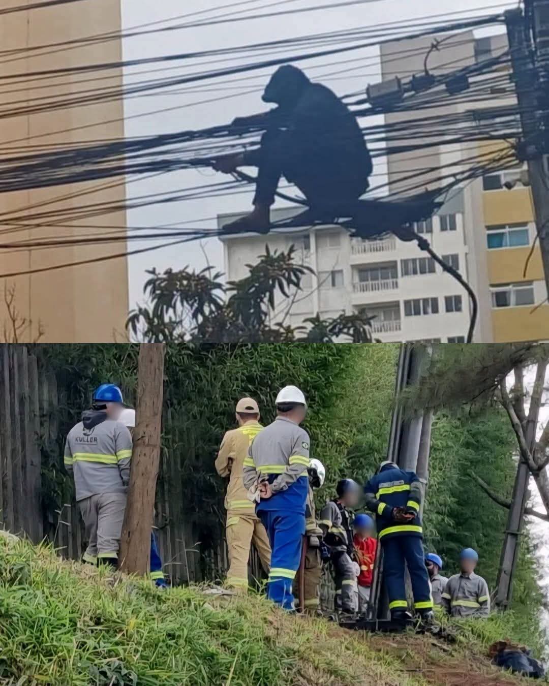 INDIVÍDUO MORRE E DEIXA ESTUDANTES DA UFPR SEM LUZ DURANTE FURTO DE FIOS DE ALTA TENSÃO EM CURITIBA.