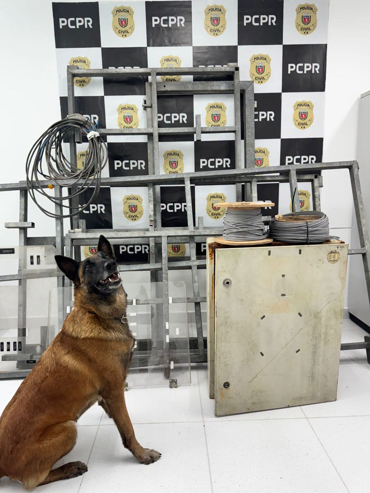 PCPR DEFLAGRA OPERAÇÃO AUGIAS CONTRA RECICLADORAS CLANDESTINAS EM COLOMBO; CINCO PESSOAS FORAM PRESAS
