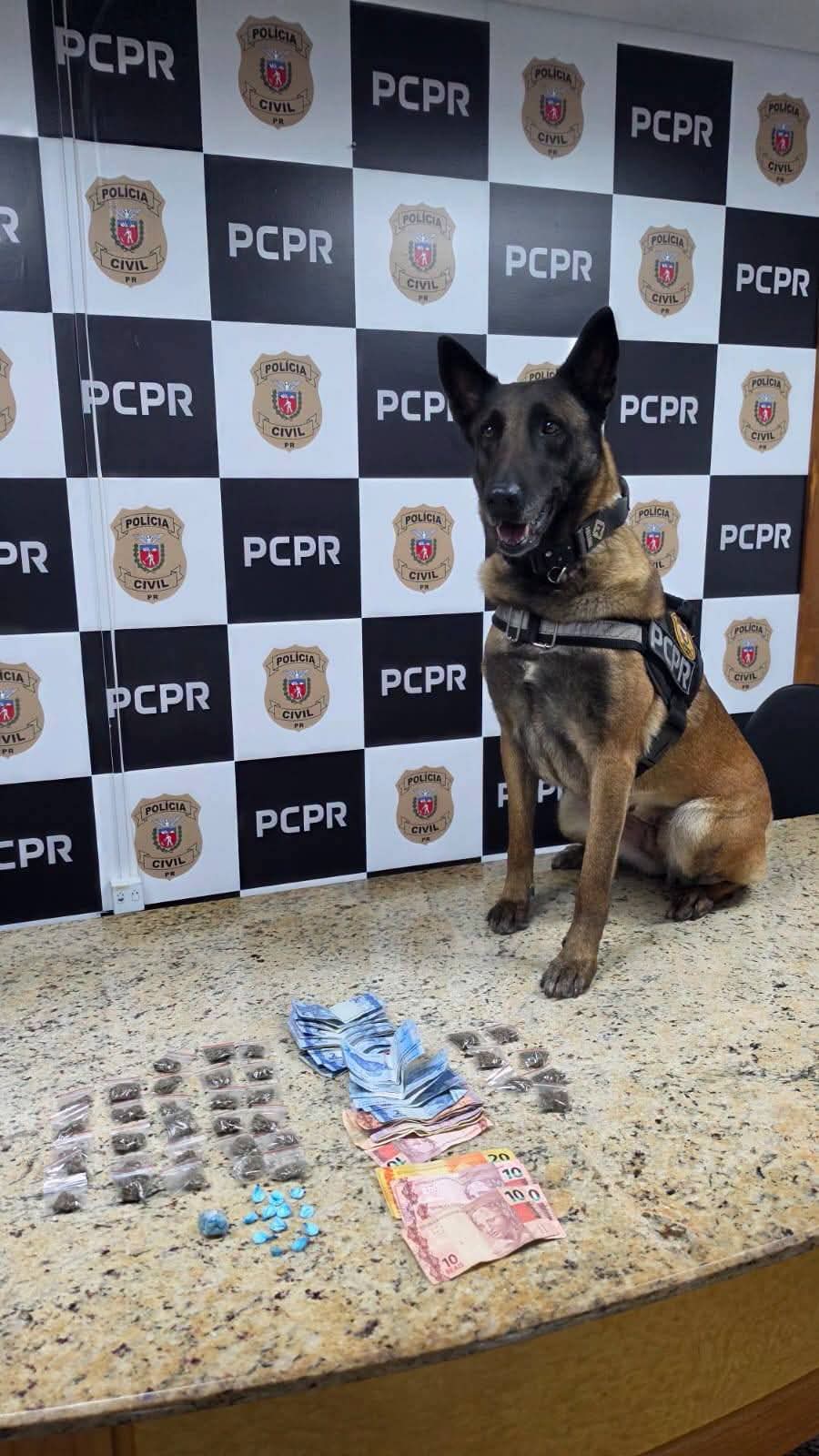 PCPR PRENDE 3 PESSOAS E APREENDE DROGAS DURANTE CUMPRIMENTO DE MANDADO EM CURITIBA