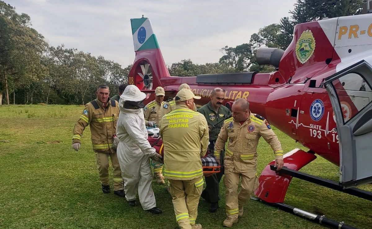 TRABALHADOR DE 56 ANOS MORRE APÓS ATAQUE DE ABELHAS EM SÃO JOSÉ DOS PINHAIS.