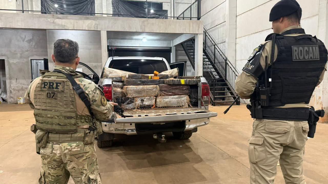 PRF E PM APREENDEM MAIS DE 4 TONELADAS DE MACONHA EM BARRACÃO NO PARANÁ