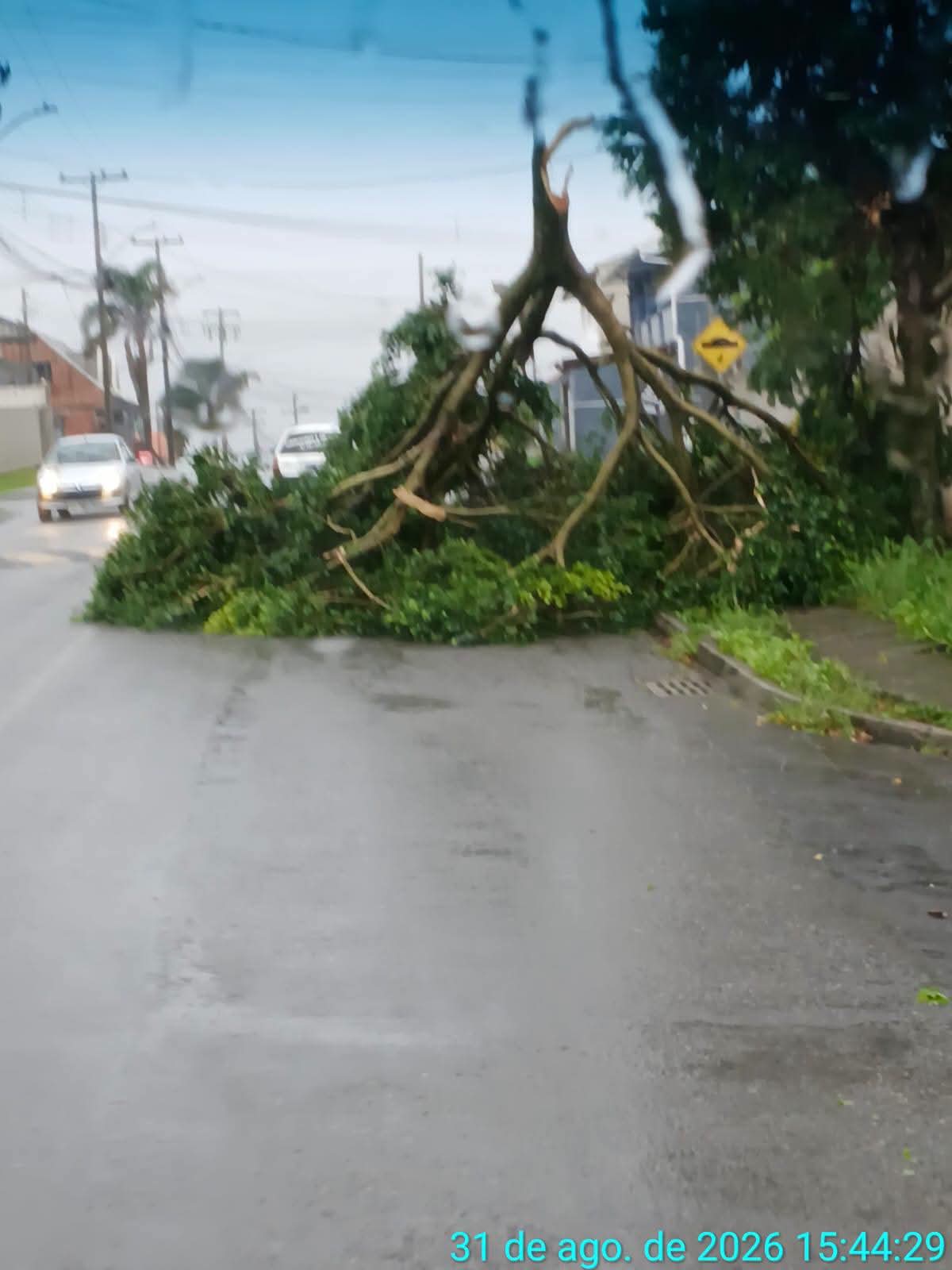 TEMPORAL CAUSA ESTRAGOS E MOBILIZA EQUIPES EM ALMIRANTE TAMANDARÉ