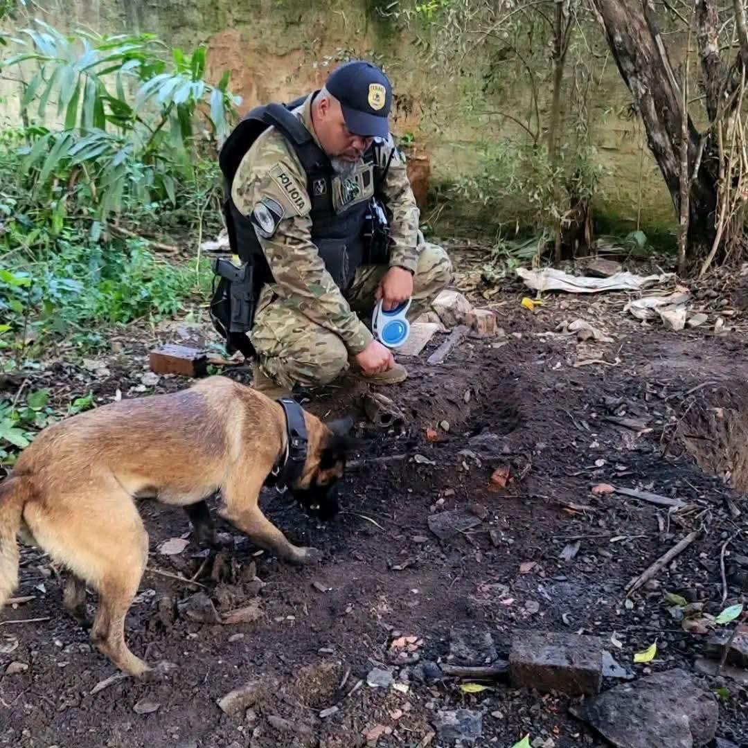 POLÍCIA CIVIL LOCALIZA DOIS CORPOS EM ÁREA QUE PODE SER CEMITÉRIO CLANDESTINO EM CURITIBA.