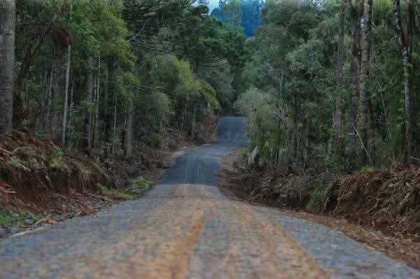 VEREADOR DE CAMPO MAGRO ESTÁ ENTRE OS PRESOS