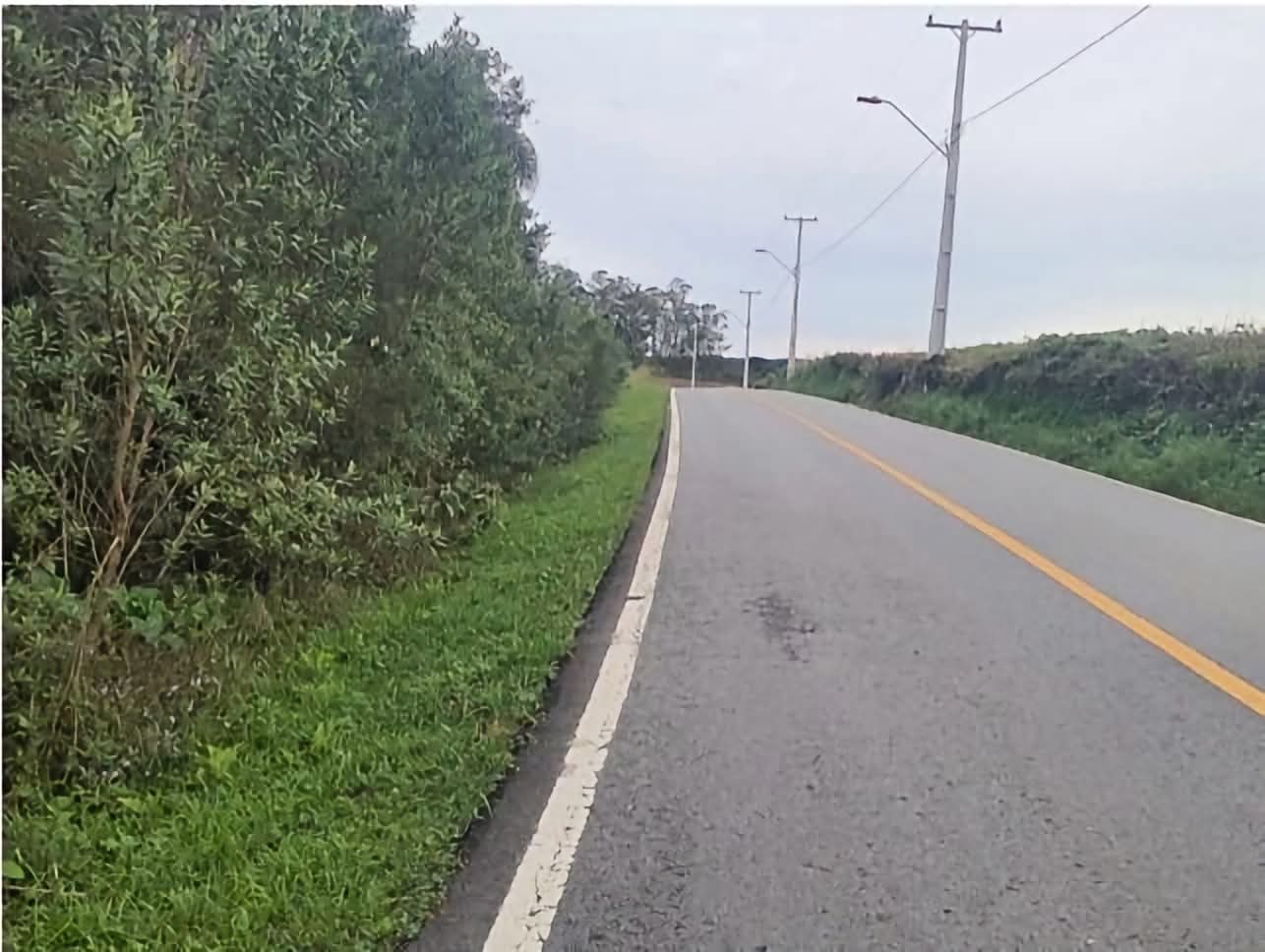 CORPO DE JOVEM É ENCONTRADO COM VÁRIOS TIROS EM ÁREA RURAL DE ARAUCÁRIA