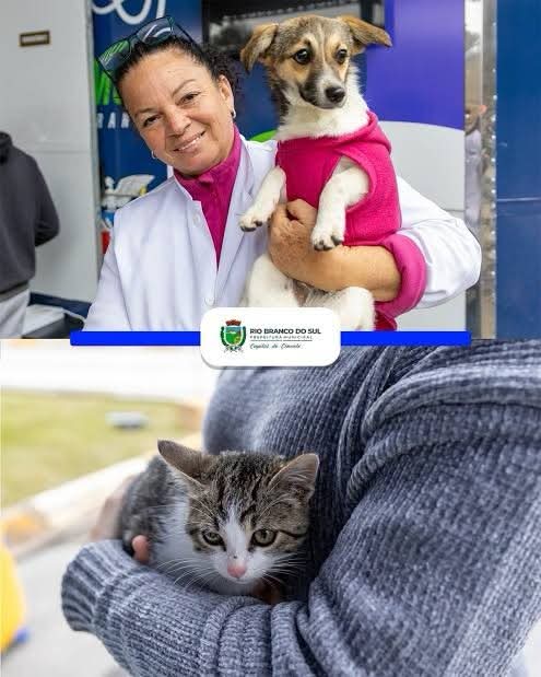 CAMPANHA DE VACINAÇÃO DO VET MÓVEL PARANÁ LEVA ATENDIMENTO GRATUITO PARA CÃES E GATOS EM RIO BRANCO DO SUL.