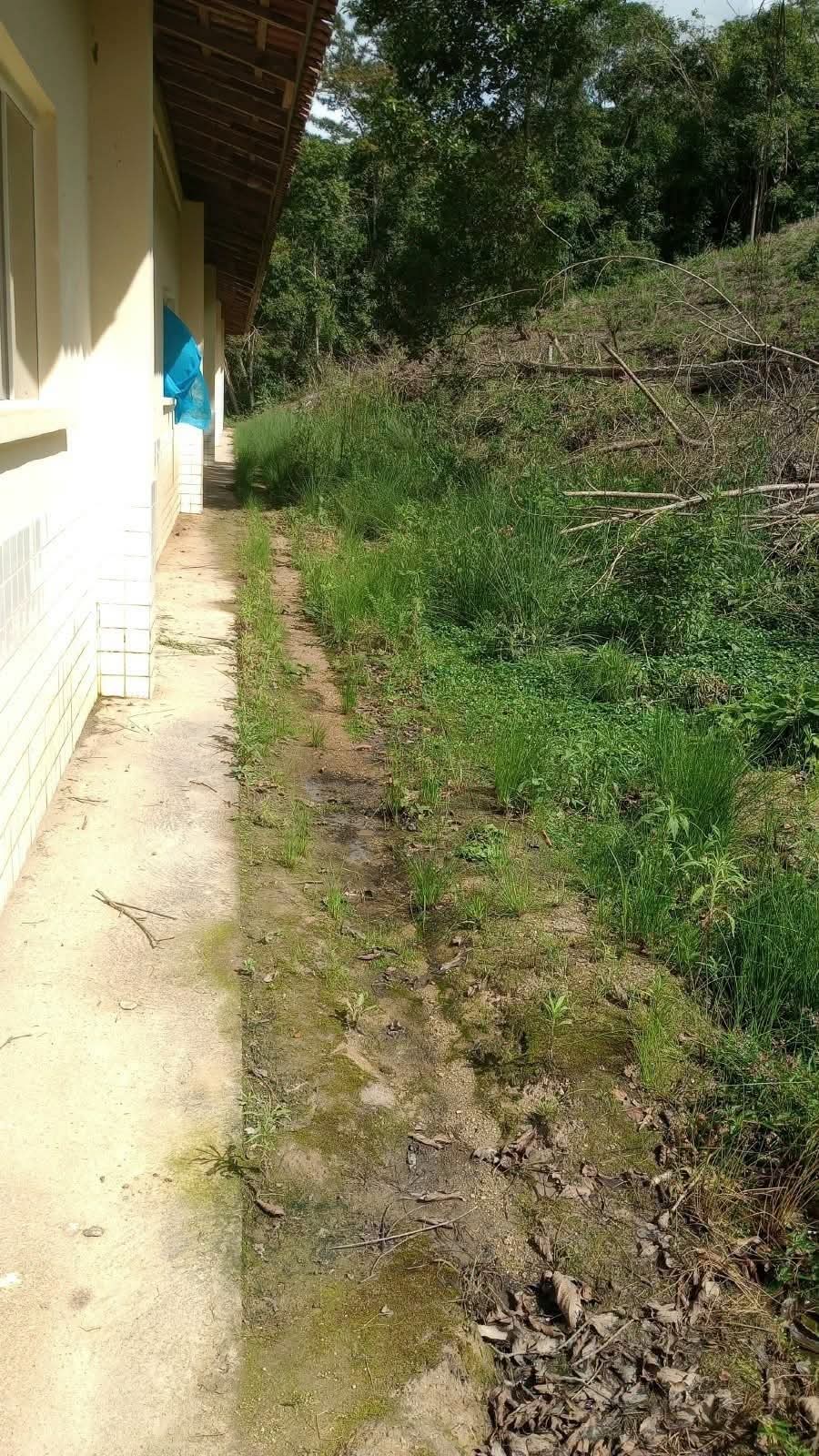 PAIS DENUNCIAM FALTA DE SEGURANÇA E ABANDONO EM ESCOLA DE CERRO AZUL.