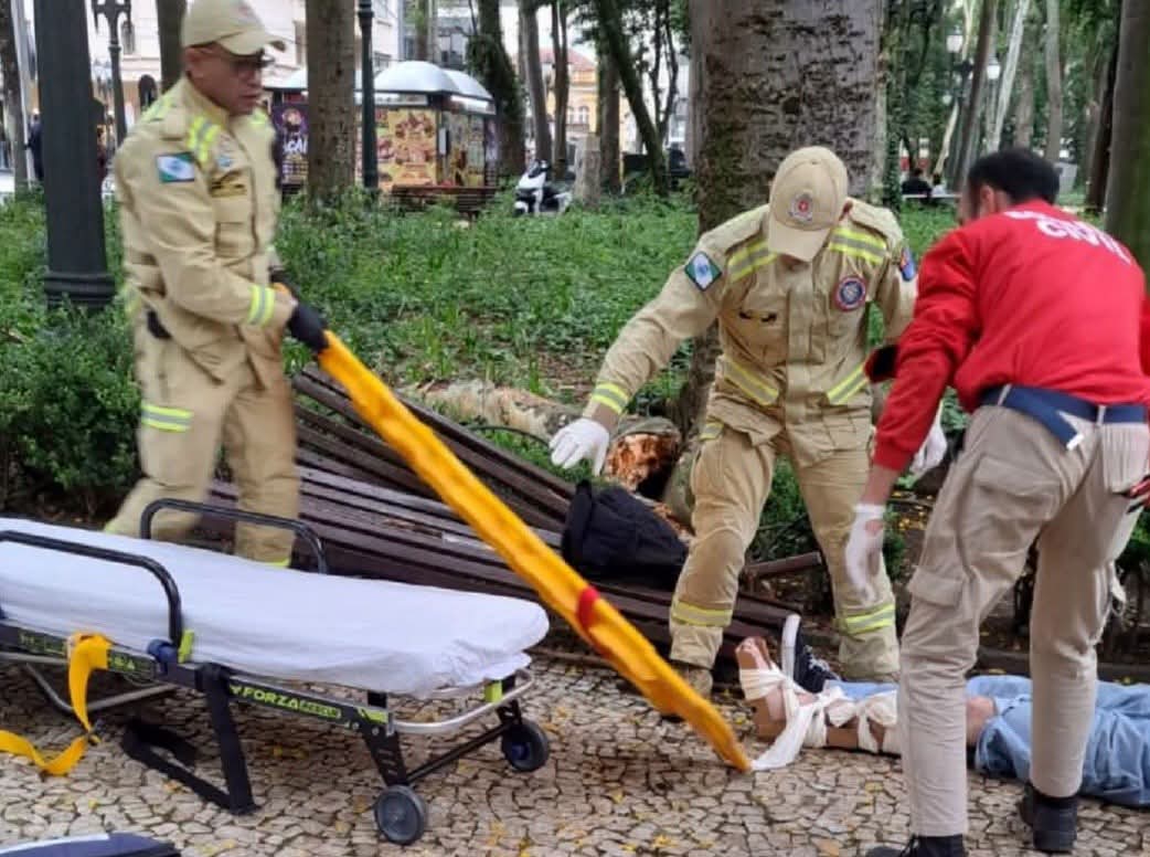 UM JOVEM É ATINGIDO POR GALHO DE ÁRVORE NO CENTRO DE CURITIBA.