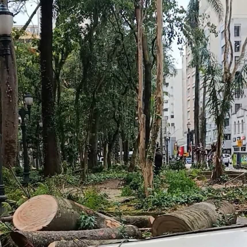 QUEDA DE ÁRVORE DESTRÓI BANCA E ASSUSTA FREQUENTADORES NA PRAÇA OSÓRIO EM CURITIBA.